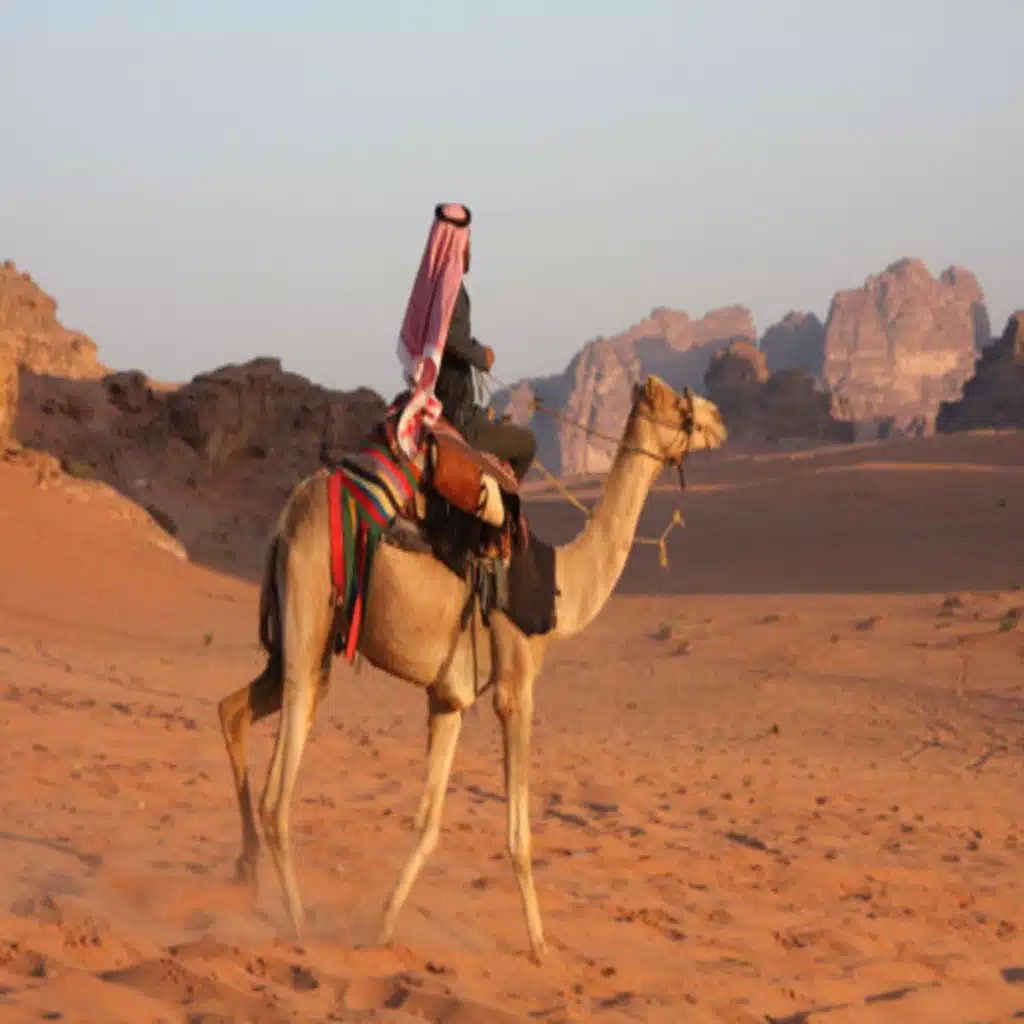 عشق الشيوخ