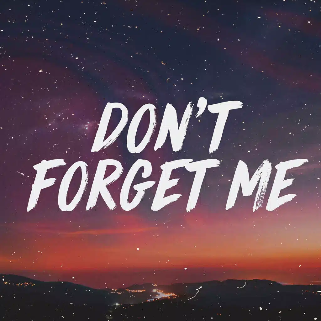 Don't Forget Me