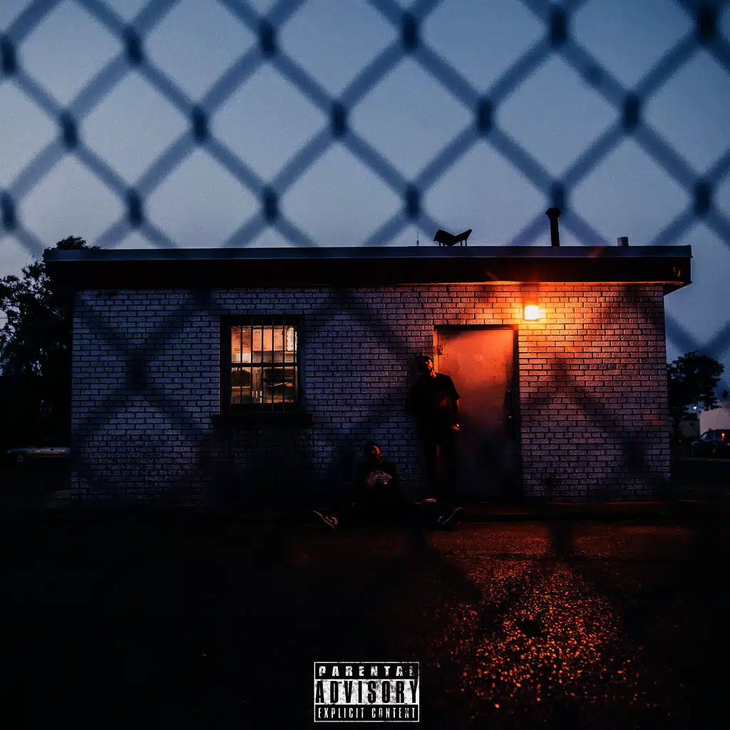 Live from Hollowgrove
