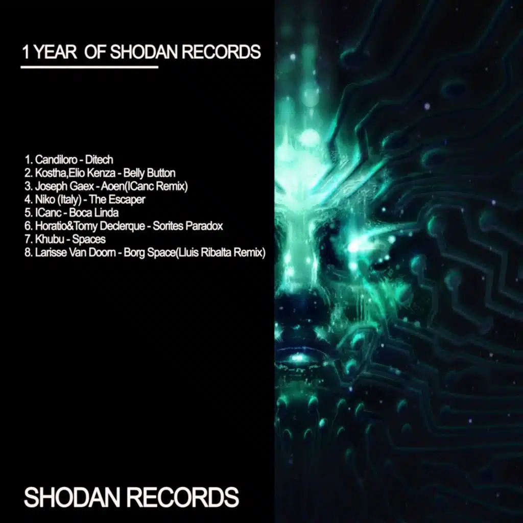 1 Year of Shodan Records
