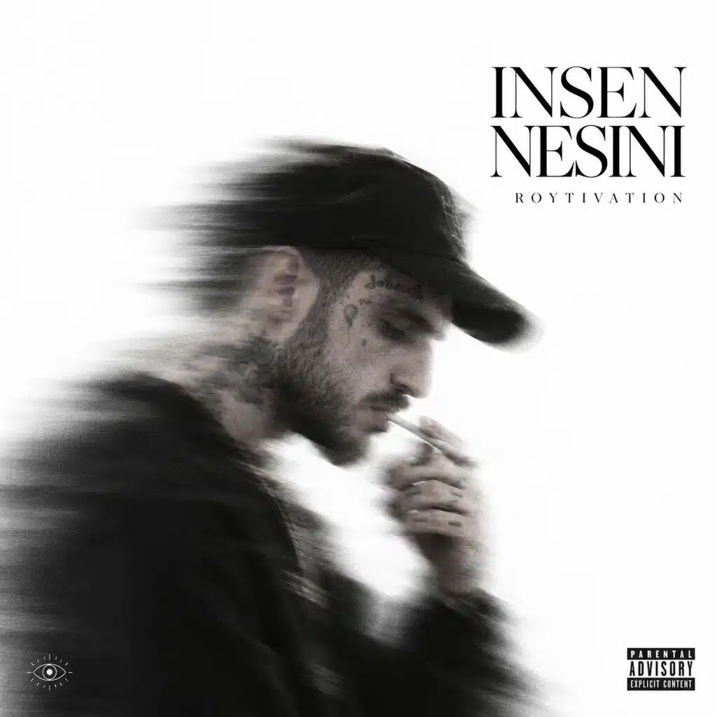 INSEN NESINI