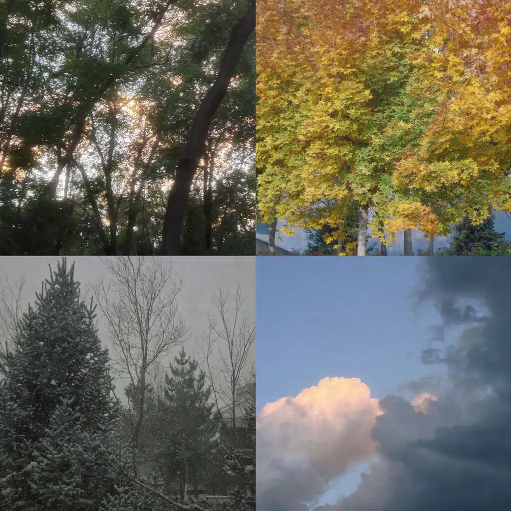 Herbst 2×2-Raster