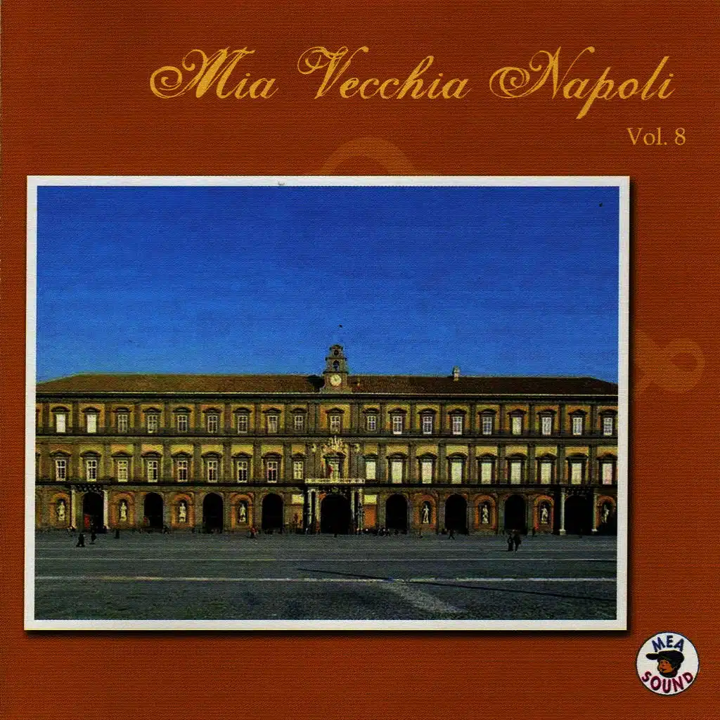 Mia vecchia Napoli, vol. 8