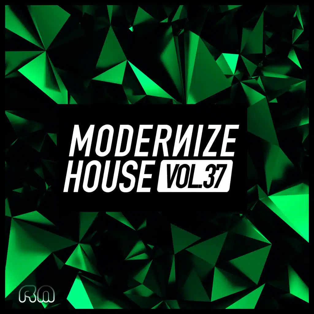 Modernize House, Vol. 37