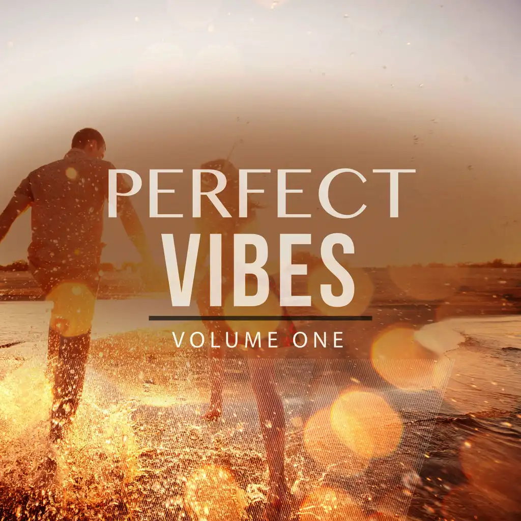 Perfect Vibes, Vol. 1 (Selection Of Finest Deep House & House Music)