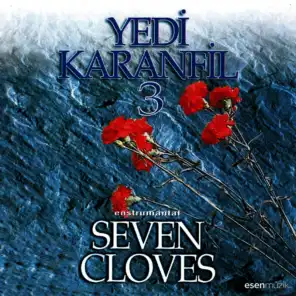 Yedi Karanfil, Vol. 3 (Seven Cloves Enstrumantal)