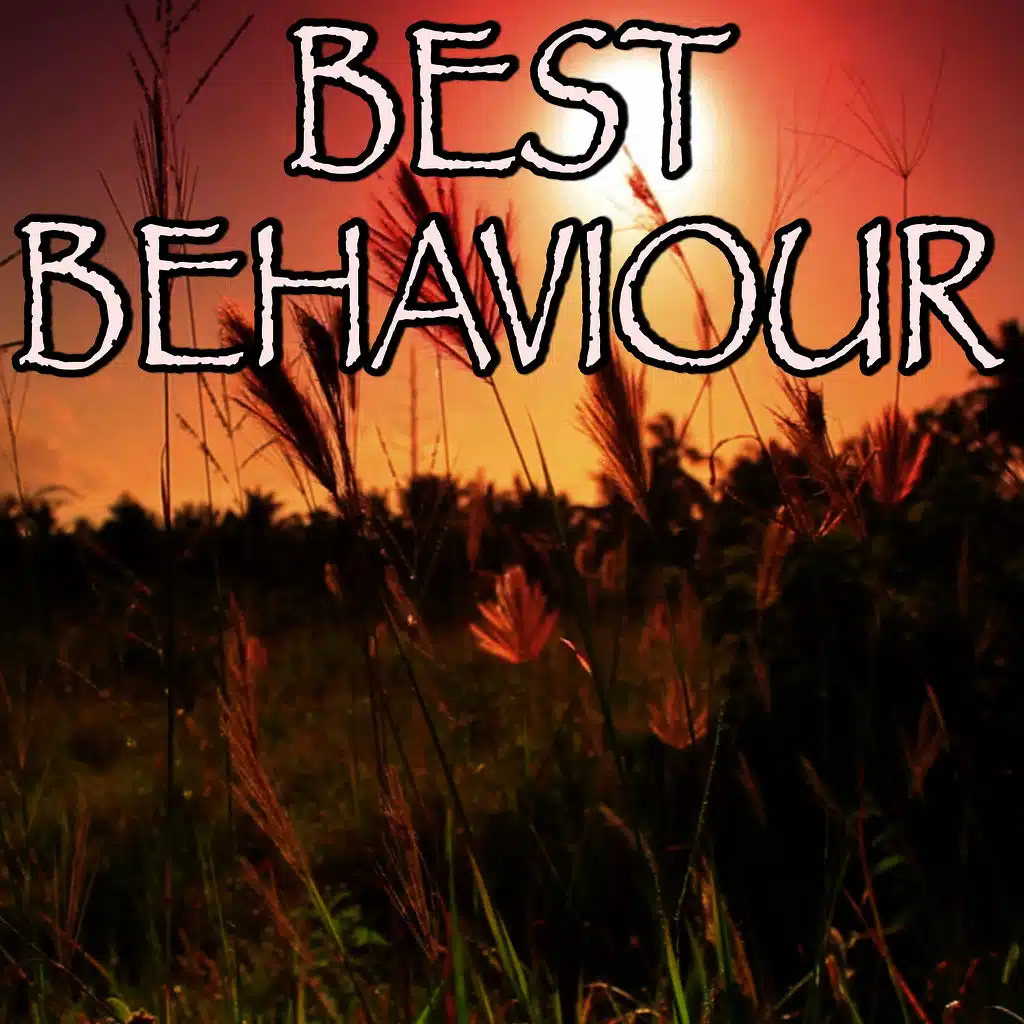 Best Behaviour - Tribute to Louisa Johnson (Instrumental Version)