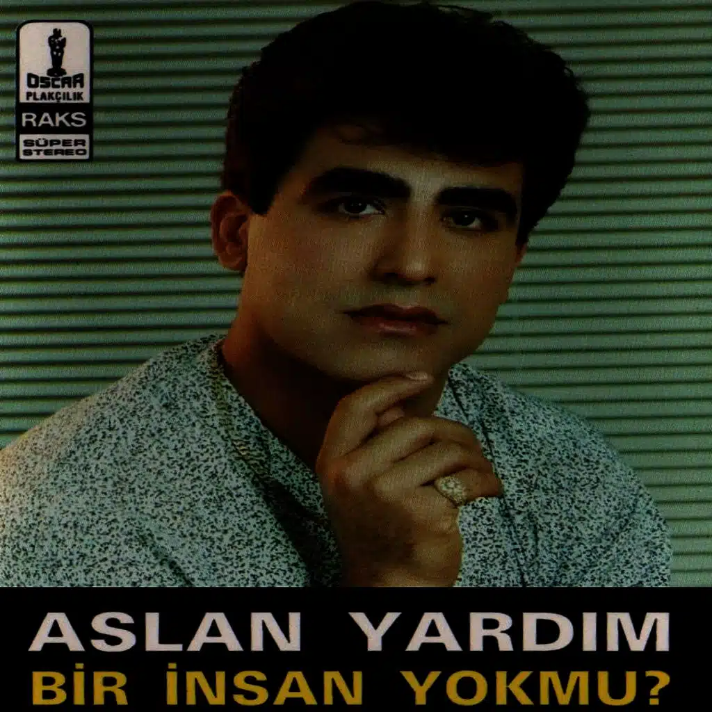 Aslan Yardım