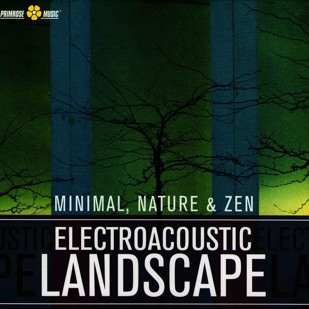 Electroacoustic Landscape
