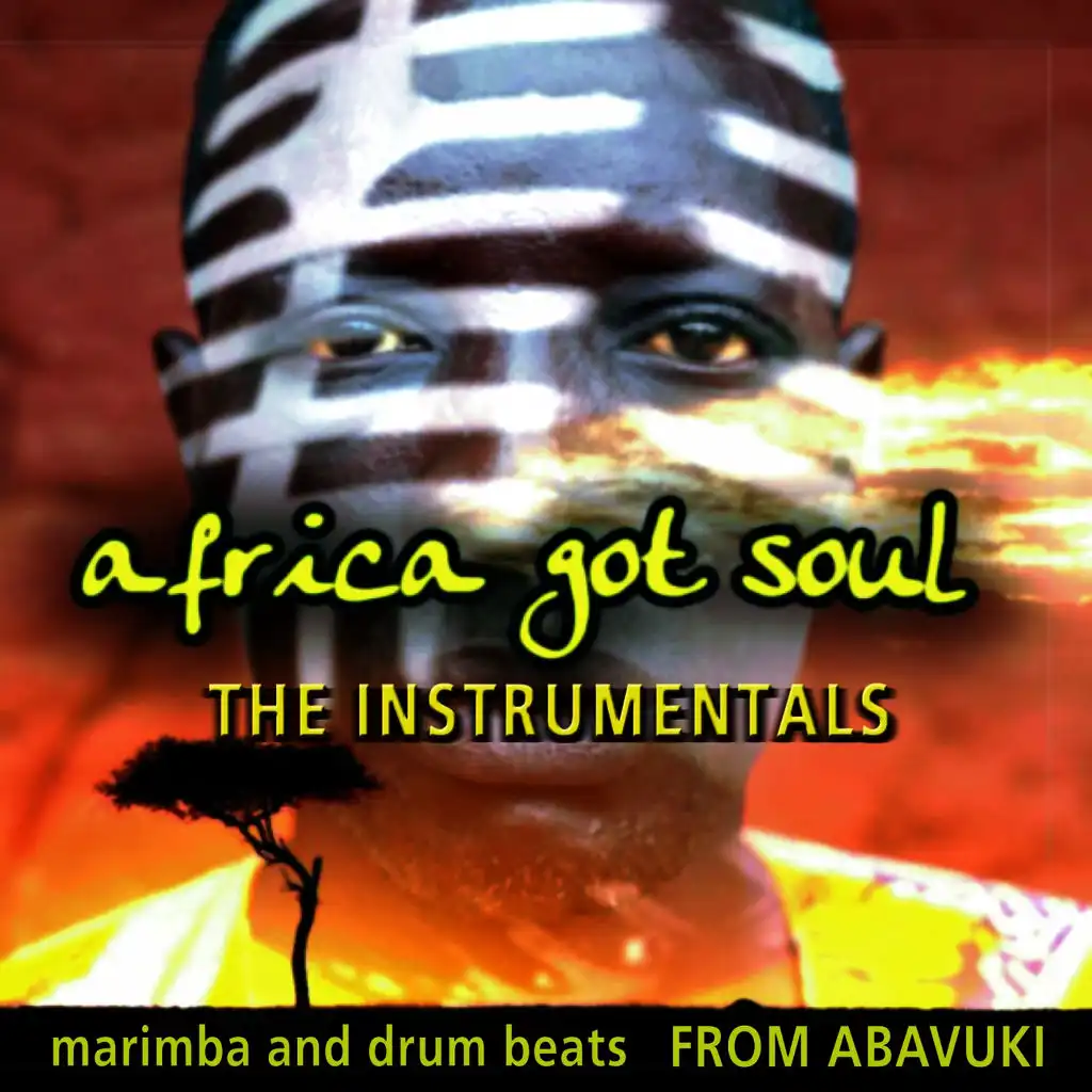 Africa Got Soul (The Instrumentals)