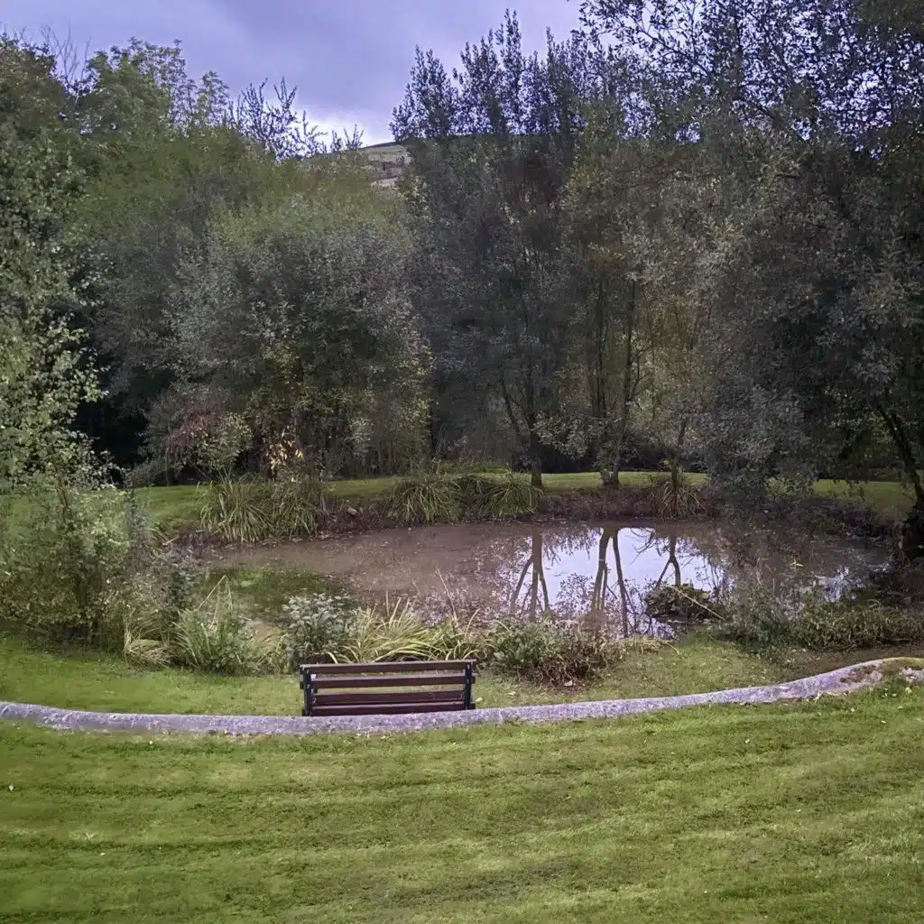 Sound Escape 296. Listen to emerging birdlife next to a quiet pond