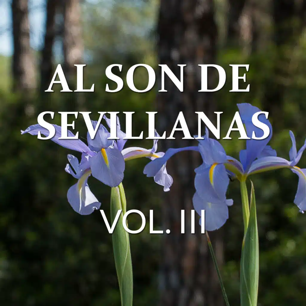 Al son de sevillanas Vol III