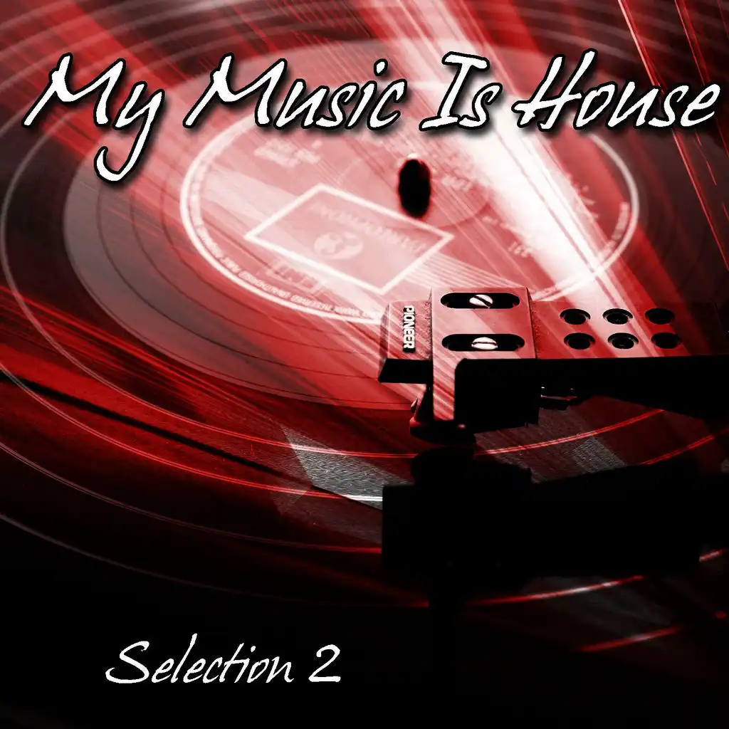 My Music Is House Selection, Vol. 2