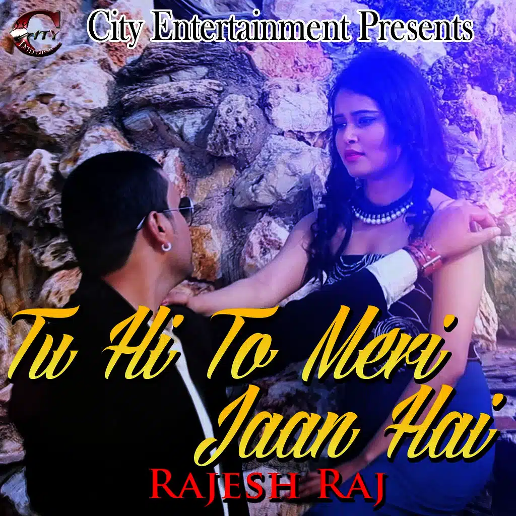 Tu Hi To Meri Jaan Hai