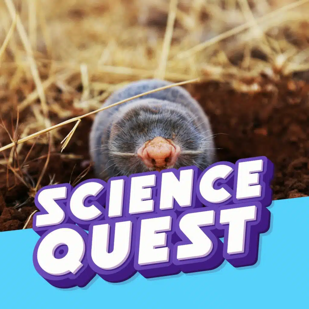 22 Tentacles on Its Face: Secrets of the Star-Nosed Mole 🕳️👾