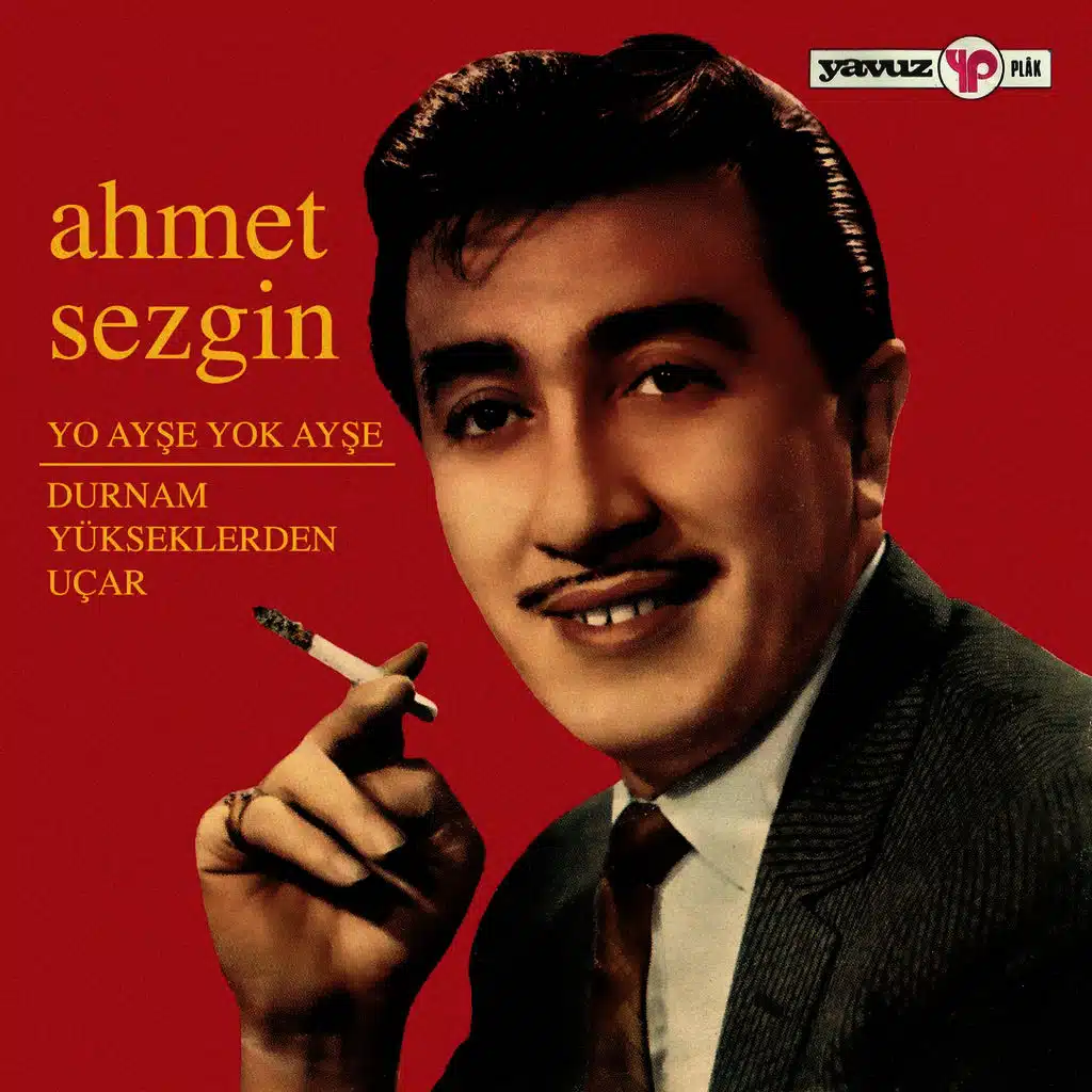 Yo Ayşe Yok Ayşe - Durnam Yükseklerden Uçar