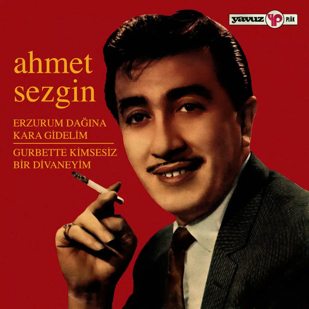 Erzurum Dağına Kara Gidelim (Gurbette Kimsesiz Bir Divaneyim)