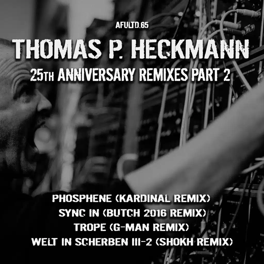 Thomas P. Heckmann 25th Anniversary Remixes, Pt. 2
