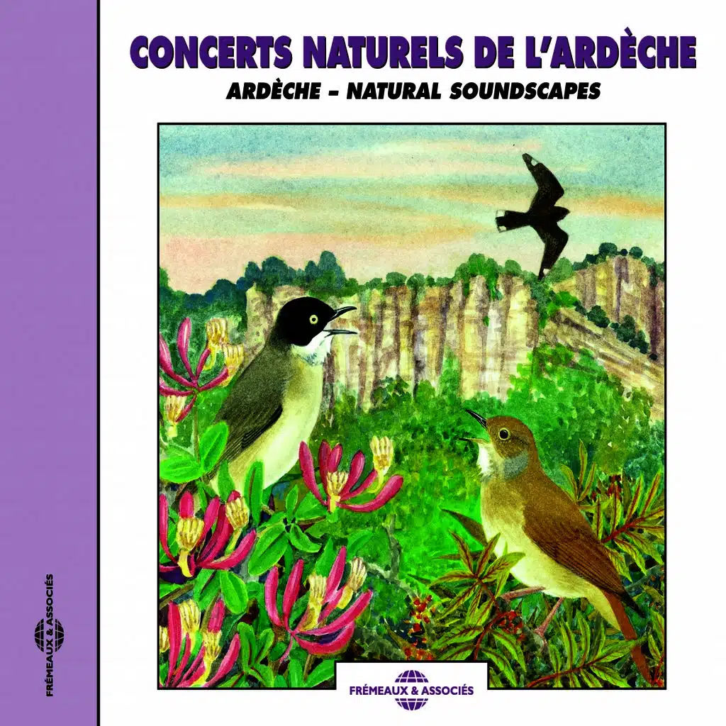 Concerts naturels de l'Ardèche - Natural Soundscapes