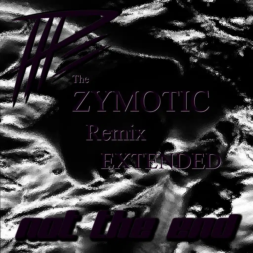Not the End (Zymotic Remix Extented Version)