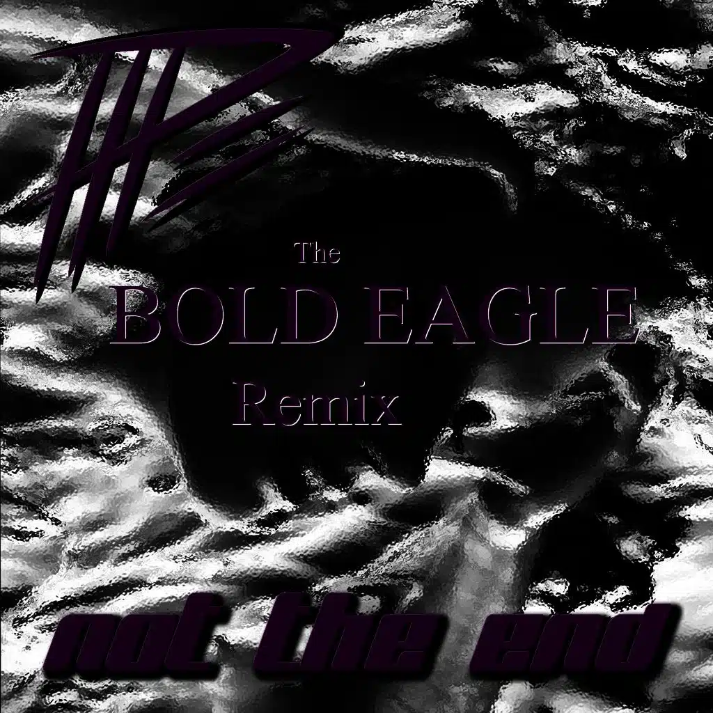 Not the End (The Bold Eagle Remix)