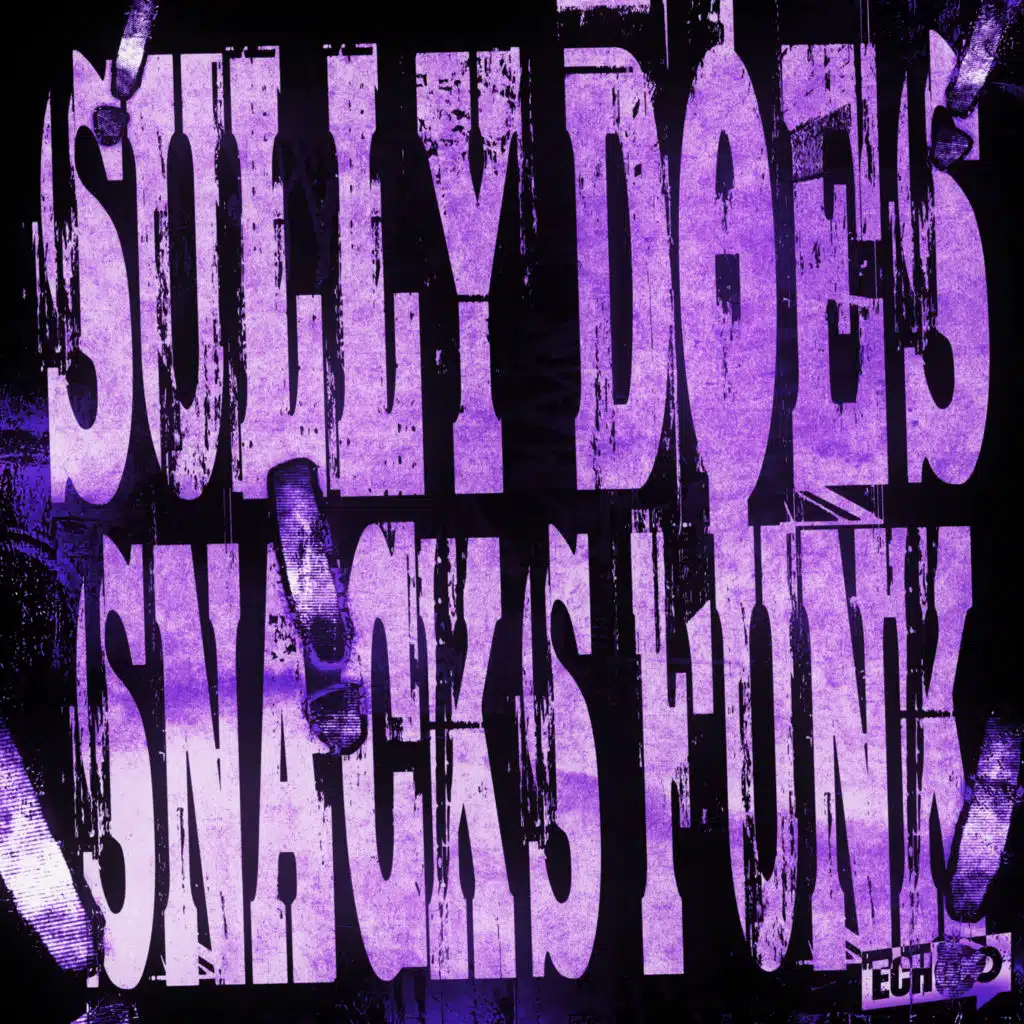 Sully Does Snacks Funk