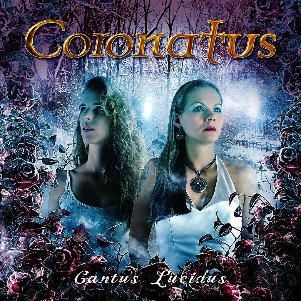 The Elvenwell (I Can Give You...)