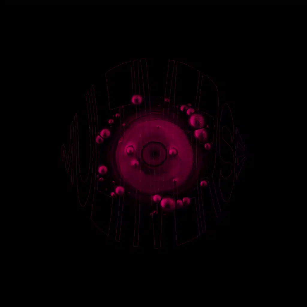 Multiverse