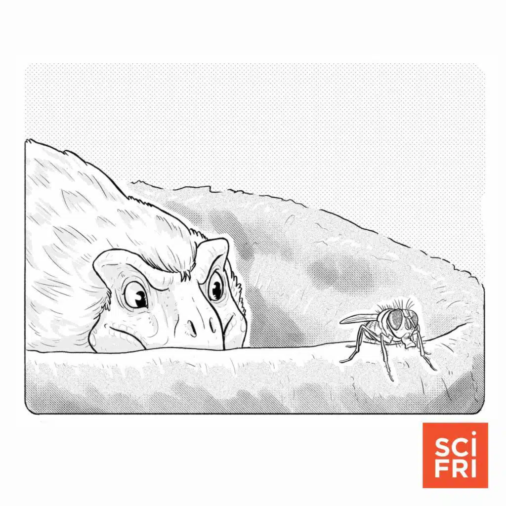 What was life like for Tyrannosaurus rex?