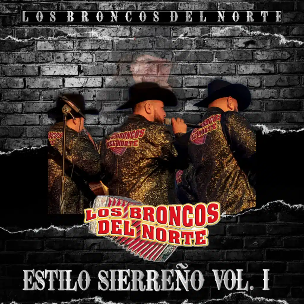 Estilo Sierreño, Vol. 1