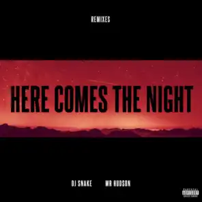Here Comes The Night (Junkie Kid Remix) [feat. Mr Hudson]