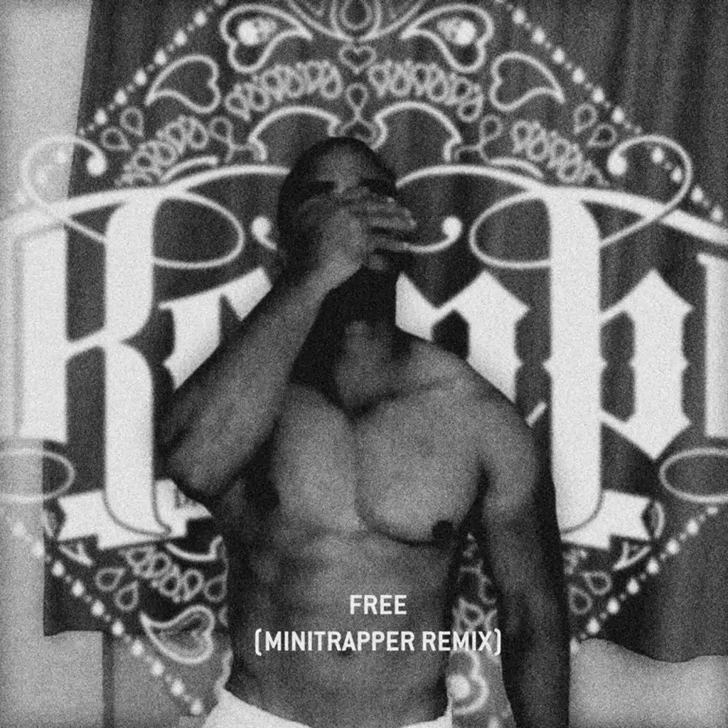 Free (Minitrapper Remix)