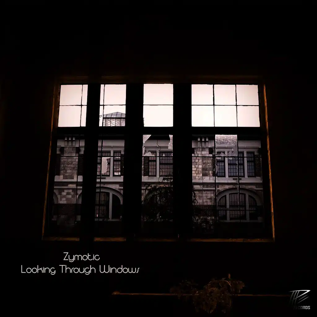 Looking Through Windows
