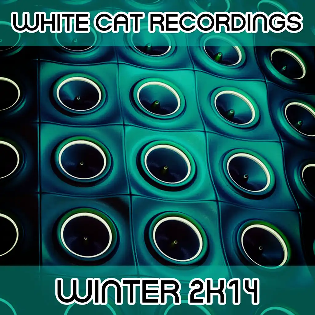 White Cat Recordings Presents Winter 2K14