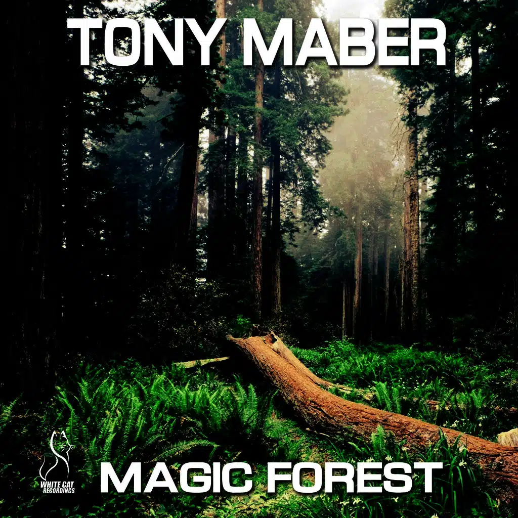 Magic Forest