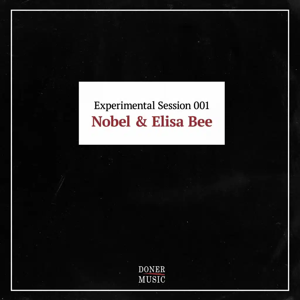 Experimental Session 001