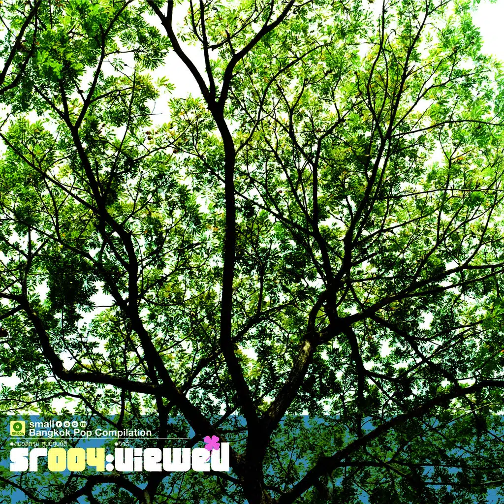 Smallroom 004 - Viewed & Crub