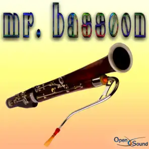 Mr. Bassoon