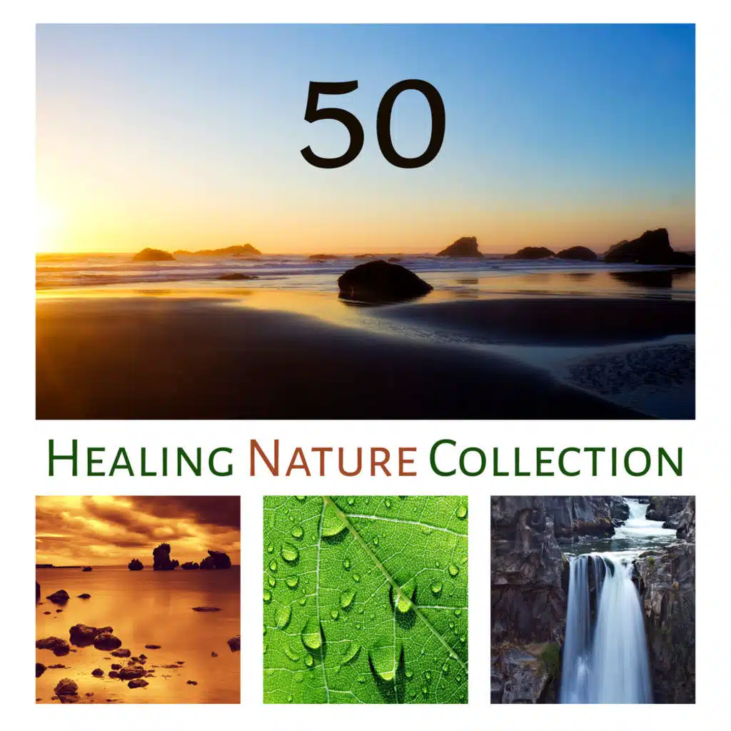50 Healing Nature Collection: Animal Sounds, River, Waterfall, Ocean Waves, Sea, Rainforest, Wind & Thunderstorm