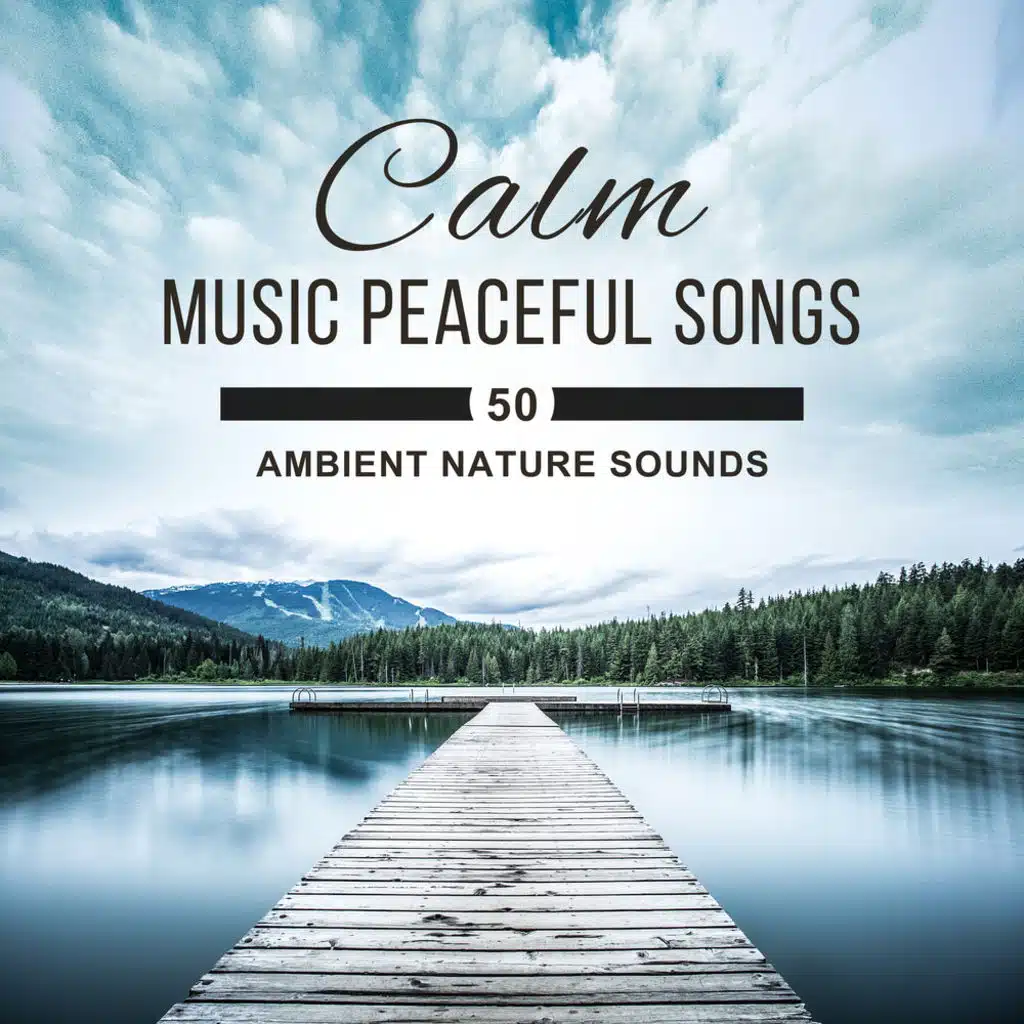 Calm Music Peaceful Songs