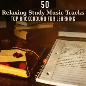 Relaxing Study Music Tracks: Top Background for Learning