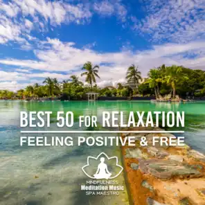 Best 50 for Relaxation: Feeling Positive & Free – Relaxing Spa Music, Tranquil Paradise Reflection, Yoga Meditation, Asian Music, Exotic Nature Sounds for Good Health & Well Being