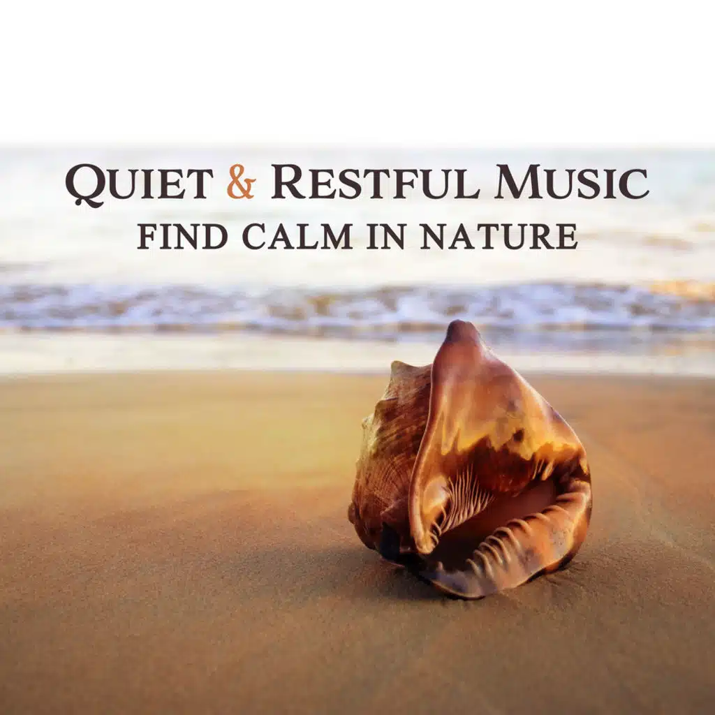 Calm Nature Songs (Meditative Thunderstorm)