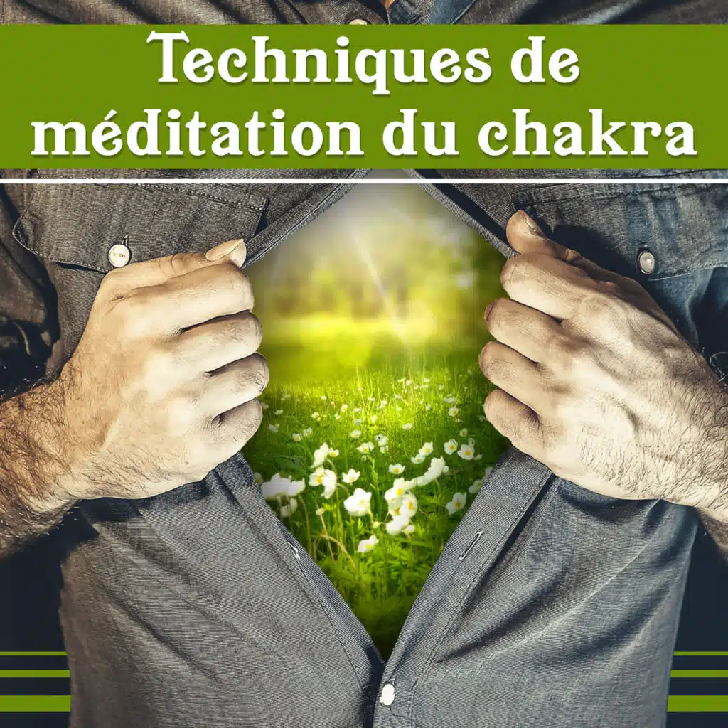 Techniques de méditation du chakra – Hatha yoga, Sons de la nature, Musique de fond pour exercices, Harmoniser le corps et l'esprit