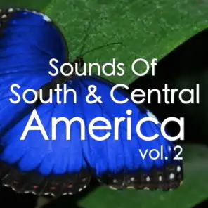 Sounds Of South & Central America, vol. 2