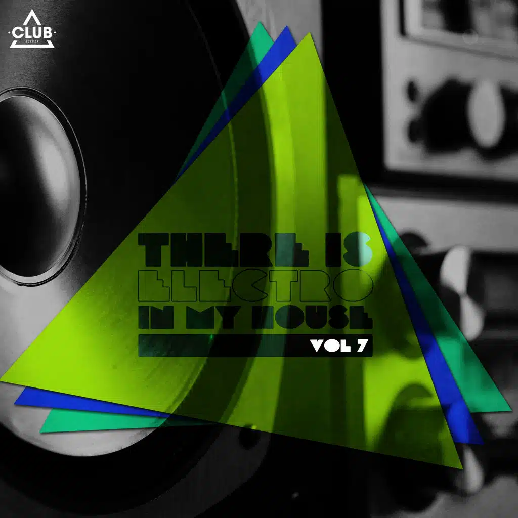 There Is - Electro In My House., Vol. 7
