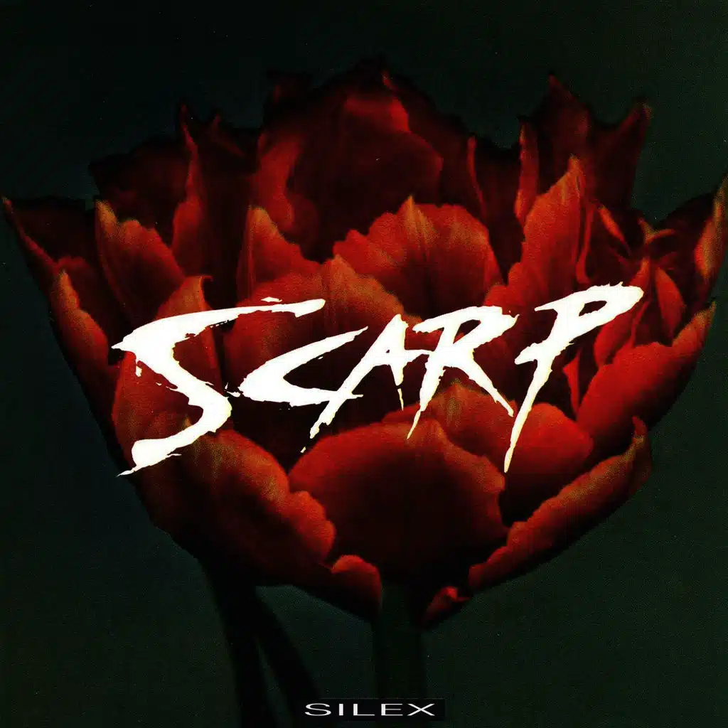 Scarp