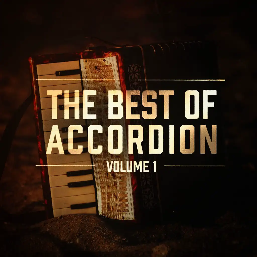 The Best of Accordion, Vol. 1