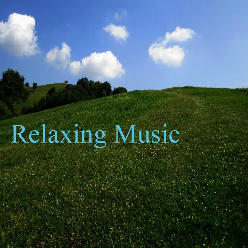 Relaxing Music, Vol. 5 (Total Relax Spa Music)