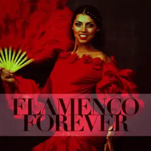 Flamenco Forever